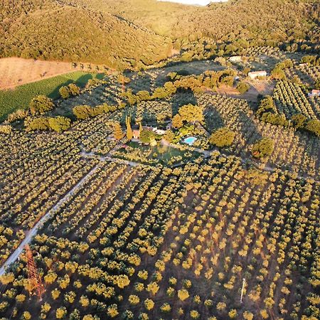 Agriturismo Podere Valdo Gavorrano Kültér fotó