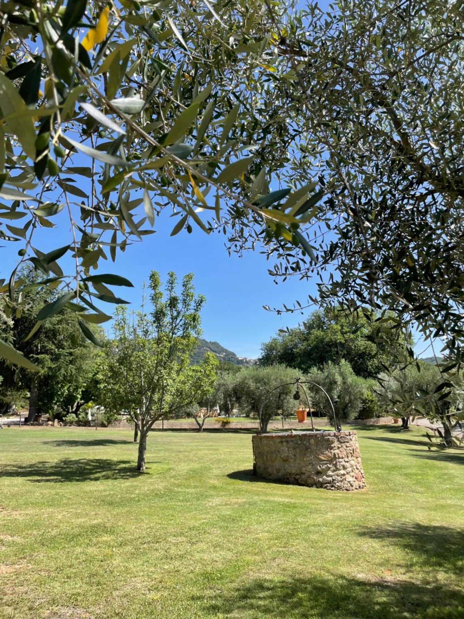 Agriturismo Podere Valdo Gavorrano Kültér fotó