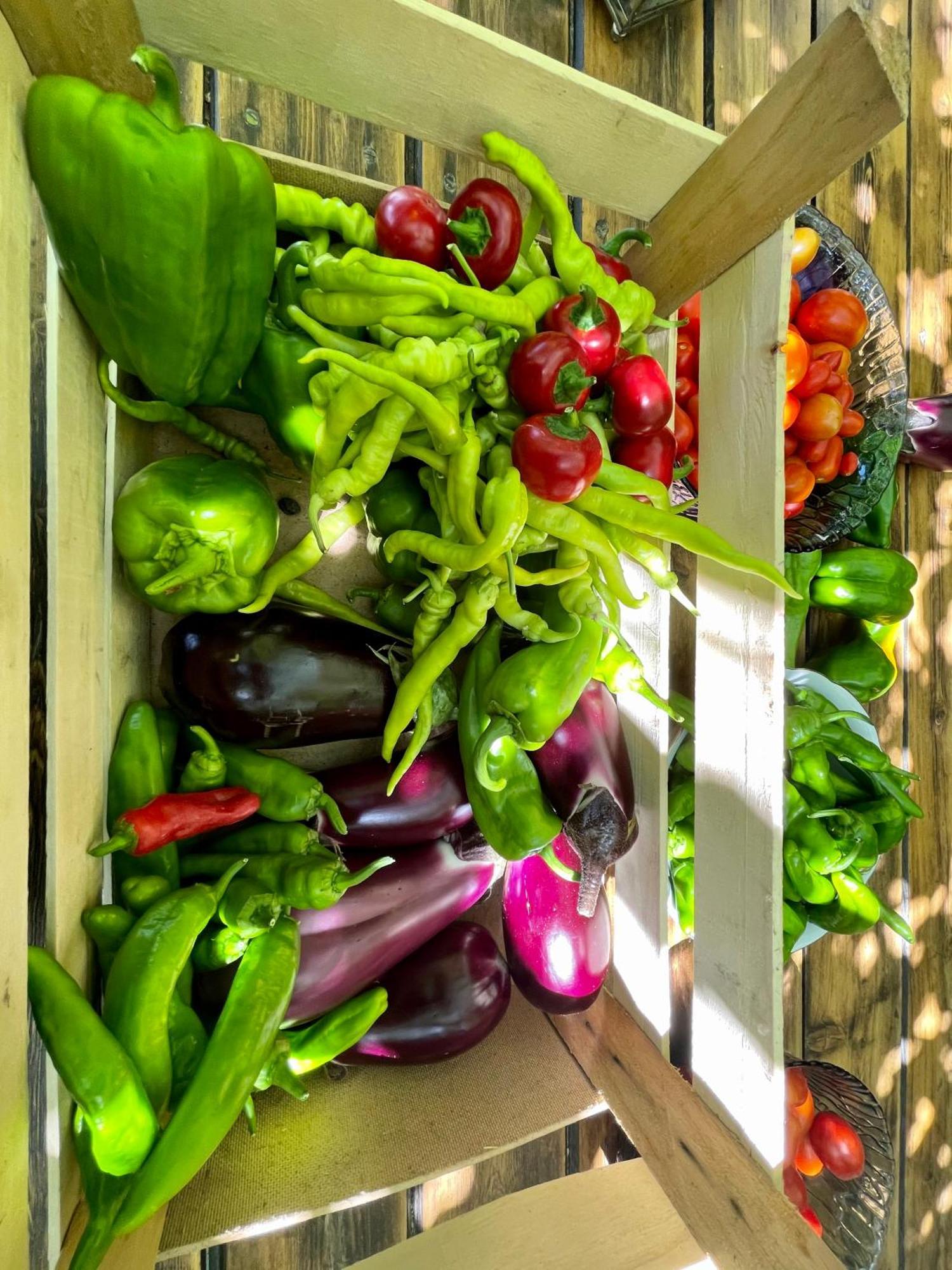 Agriturismo Podere Valdo Gavorrano Kültér fotó