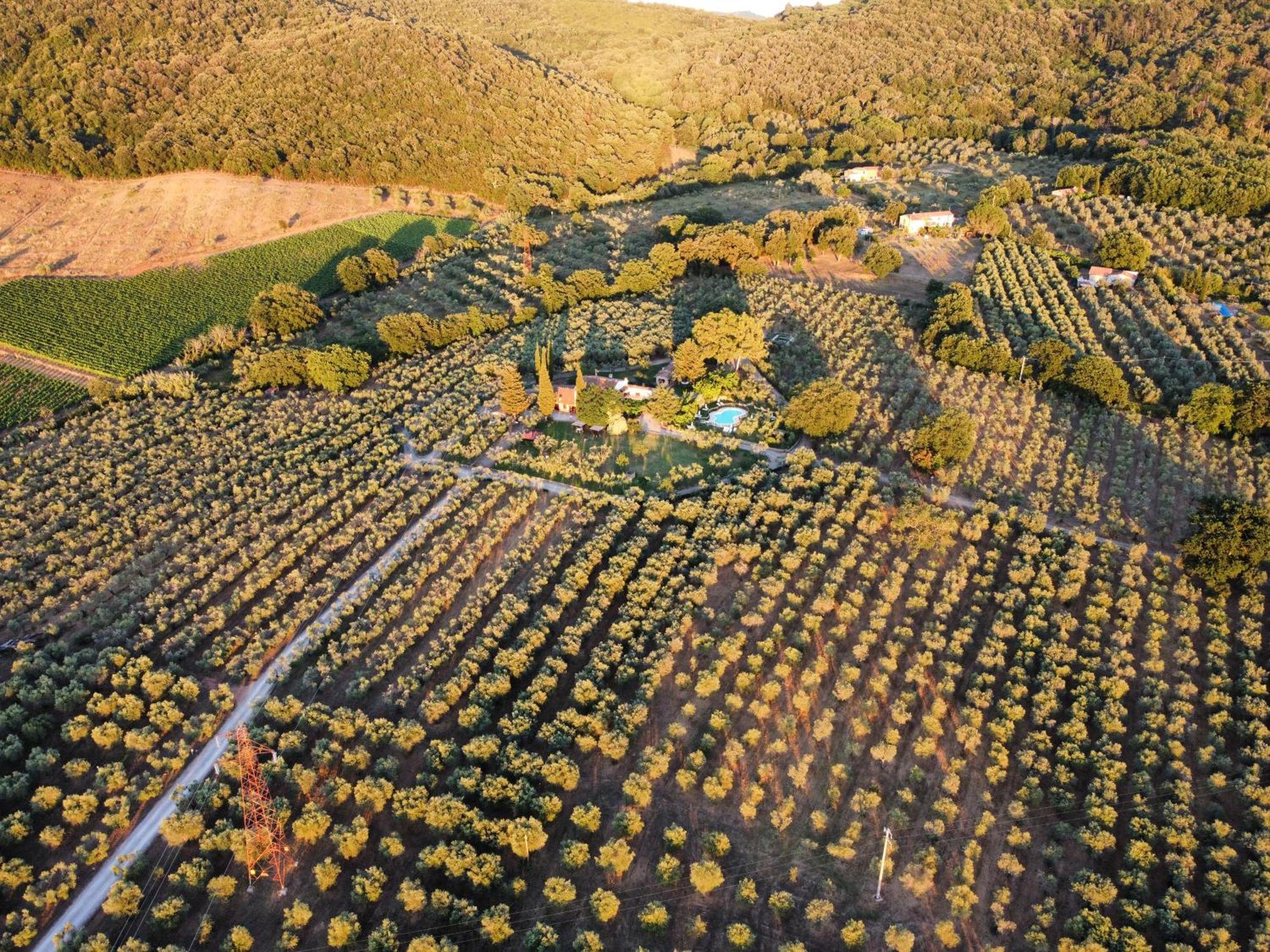 Agriturismo Podere Valdo Gavorrano Kültér fotó