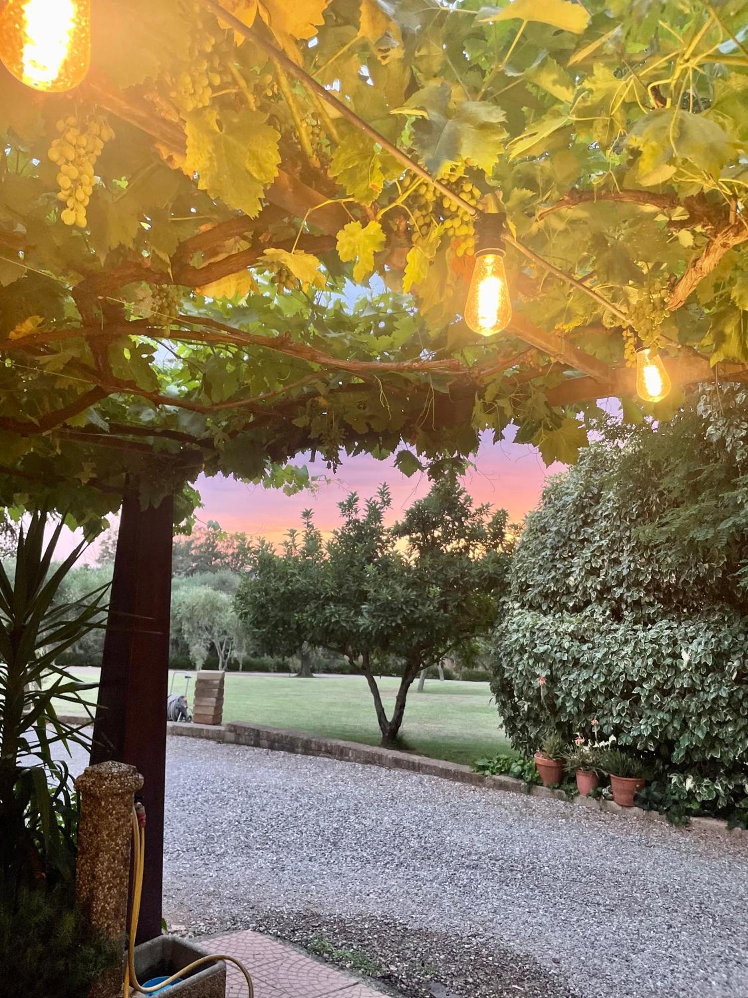 Agriturismo Podere Valdo Gavorrano Kültér fotó