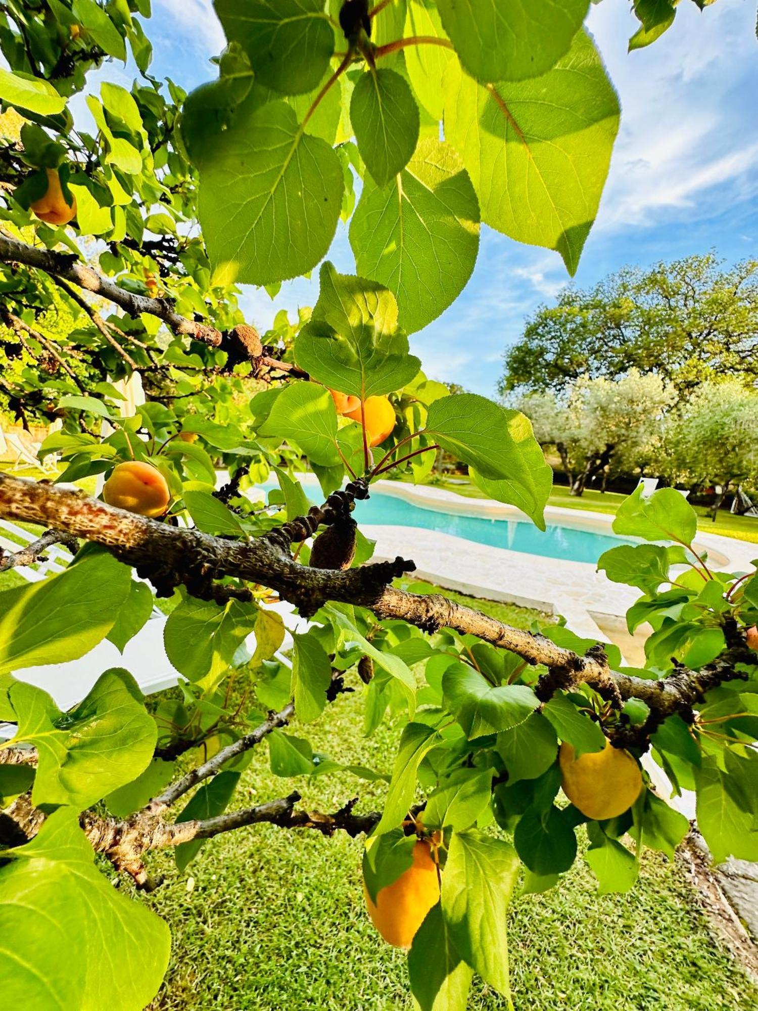 Agriturismo Podere Valdo Gavorrano Kültér fotó